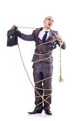 Similar image 2337981