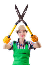 Similar image 2338148