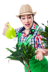 Similar image 2338151