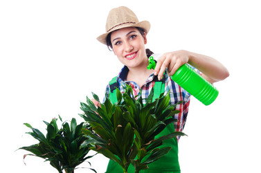 Similar image 2338153