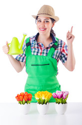 Similar image 2338199