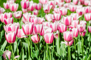 Similar image 2338299