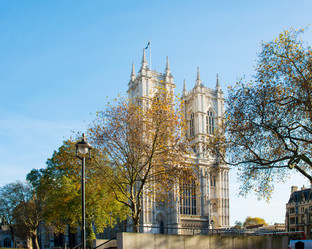 Similar image 2338399