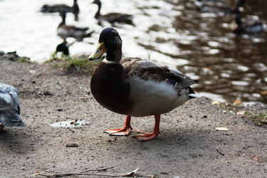 Similar image 2338424