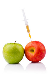 Similar image 2338430