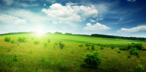 Similar image 2338447