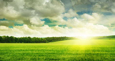 Similar image 2338450