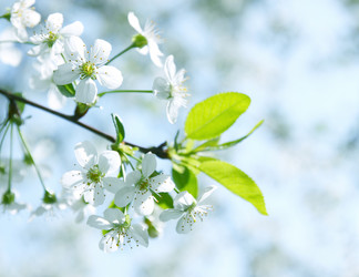 Similar image 2338487