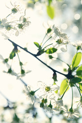 Similar image 2338499