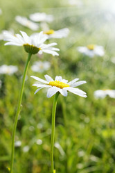 Similar image 2338504