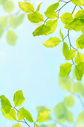 Similar image 2338520