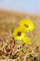 Similar image 2338522