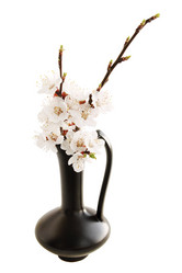 Similar image 2338530