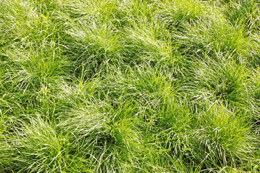 Similar image 2338532