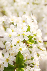 Similar image 2338534