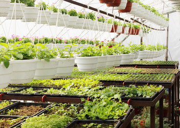 Similar image 2338536