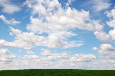 Similar image 2338540