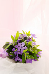 Similar image 2338542