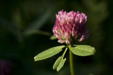 Similar image 2338548