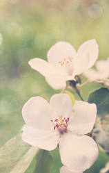 Similar image 2338551