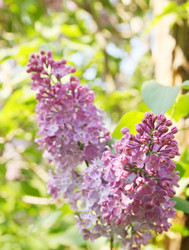 Similar image 2338554