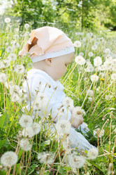 Similar image 2338556