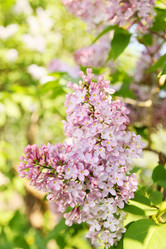 Similar image 2338561