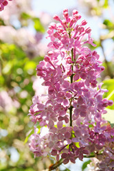 Similar image 2338562