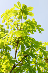 Similar image 2338563