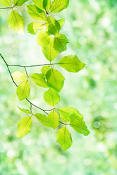 Similar image 2338577