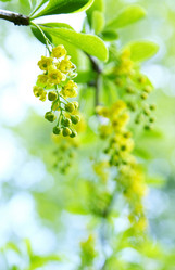 Similar image 2338579