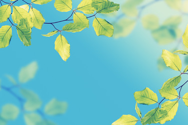 Similar image 2338599