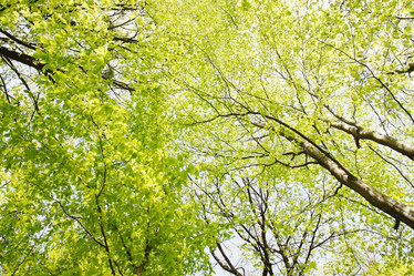 Similar image 2338600