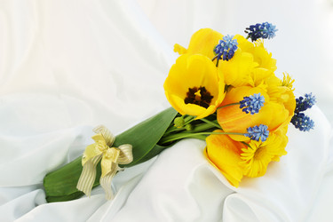 Similar image 2338602