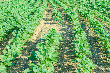 Similar image 2338699