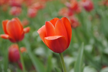 Similar image 2338723