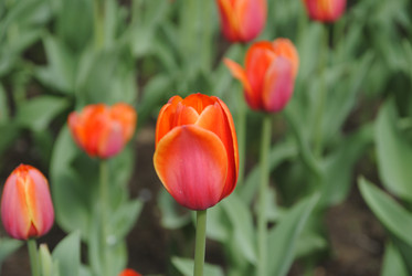 Similar image 2338724