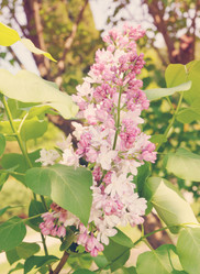 Similar image 2339894