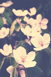 Similar image 2339896