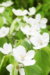 Similar image 2339898