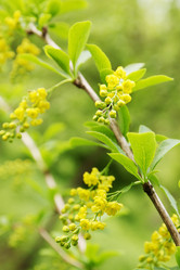 Similar image 2339907