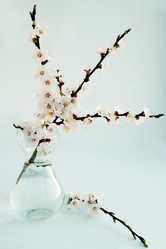 Similar image 2339911