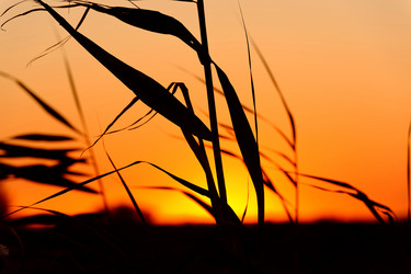 Similar image 2340192