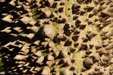 Similar image 2340193