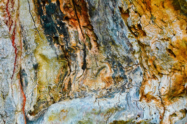 Similar image 2340314