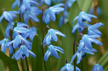 Similar image 2340315