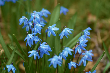 Similar image 2340316