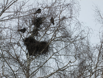 Similar image 2340327