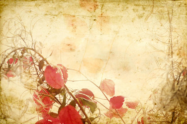 Similar image 2340639