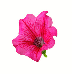 Similar image 2340642